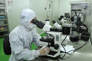 印刷電子材料、技術與應用 計算機信息技術的融合創新